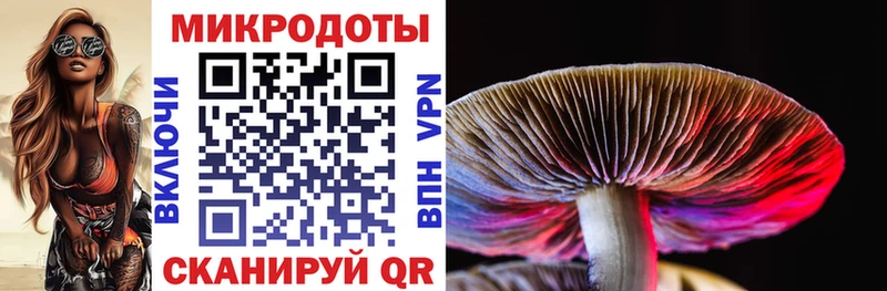 где продают   ссылка на мегу   даркнет Telegram  Яровое  Галлюциногенные грибы Cubensis 